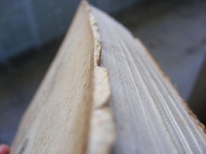 biblioteca 103 copy.jpg